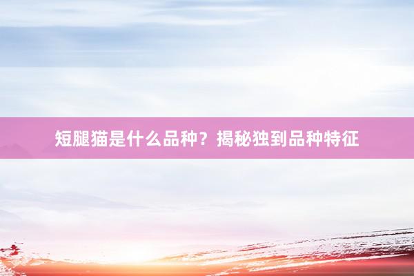 短腿猫是什么品种？揭秘独到品种特征